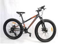 24' childs bike